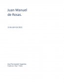 La influencia que tuvo Juan Manuel de Rosas en las distintas sociedades de la época durante el siglo XIX