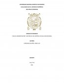 PLAN DE ADMINISTRACIÓN Y GESTIÓN DE UNA EMPRESA EN SALUD OCUPACIONAL