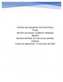 Desarrollo de una política