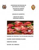 ANÁLISIS DE CARNE Y DERIVADOS CÁRNICOS