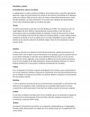 Resultados y análisis Formación de las raíces en la cebolla Mitosis