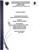Práctica de Electrónica, construcción del circuito strober