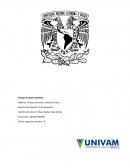 Ensayo del gran inquisidor