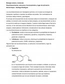 Biología celular y molecular