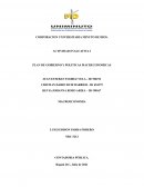 PLAN DE GOBIERNO Y POLITICAS MACRECONOMICAS