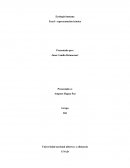 Ecología humana Fase1- representación icónica