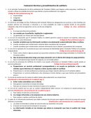 Normas y Procedimientos de auditor