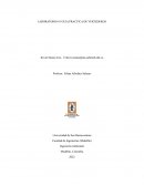 LABORATORIO #3 GUIA PRACTICA DE VERTEDEROS