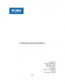 EL APEGO DE LA EDUCACIÓN ESPECIAL