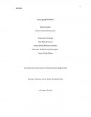 Desarrollo caso 1 Toysa