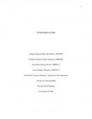 Psicosocial y la vejez