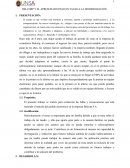 BELCORP Y EL APRESURADO PASO EN FALSO A LA MODERNIZACIÓN