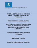 SISTEMAS DE SOPORTE A LA TOMA DE DECISIONES EN GRUPO Y SISTEMAS DE INFORMACIÓN PARA EJECUTIVOS