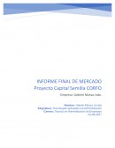 Proyecto Capital Semilla de la corporación de fomento de la producción CORFO