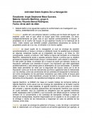Actividad Sobre Sujetos De La Navegación