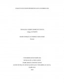 ENSAYO ELECCIONES PRESIDENCIALES COLOMBIA 2022