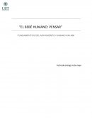 Un análisis del desarrollo cognitivo infantil y su capacidad innata para reflexionar y aprender