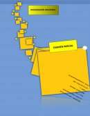 Organizacion industrial