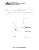 Red de distribución de vapor en INPLANT