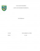 Informe entre reglamentos