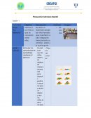 Planeación Gimnasio Mental