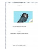 LOS TRASTORNOS EN LA SOCIEDAD