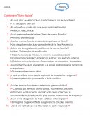 Cuestionario “Nueva España”
