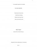 Análisis Del Macroentorno . Factor político y legal