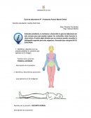 Guía de laboratorio Nº 1 Anatomía
