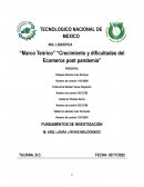 Marco teórico. Crecimiento y dificultadas del Ecomerce post pandemia