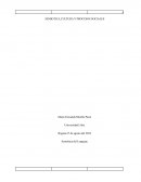 SEMIOTICA,CULTURA Y PROCESOS SOCIALES