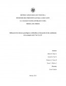 Influencia de factores psicológicos en futbolistas