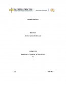 PROGRAMA: COMUNICACIÓN SOCIAL