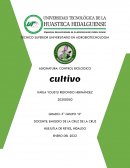 MANEJO DE PLAGA O ENFERMEDAD EN UN CULTIVO