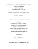 Proyecto de Ecología.Reciclaje de papel