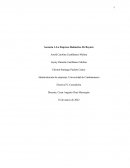 Asesoría A La Empresa Baloncitos De Boyacá