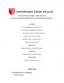 PROYECTO COMPRA VENTA Y PILADO DE ARROZ