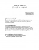 Trabajo de inducción (el circo de las mariposas)