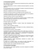 Interpretación genética