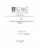 APOYO PARA TRASFORMACION DIGITAL PARA LAS EMPRESAS