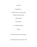 Ciber Cultura “Identidad On-Line”