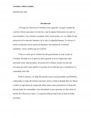 Asesinato lideres sociales