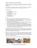 Gestion de calidad en obras de irrigacion