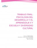 Azul Formación Actividad Obligatoria Psicología del Desarrollo y del Aprendizaje II- Escuela y Diversidad Cultural