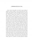 Comprobación de lectura. Atenea