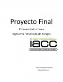 Proyecto Final Procesos Industriales