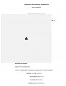 BASES CAMPEONATO DE BASQUETBOL INDEPENDENCIA