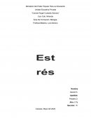 Estrés. Tipos de estrés