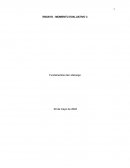 FUNDAMENTOS DEL LIDERAZGO, ROLES NIVELES CONDICIONES ESPECIALES DEL LIDERAZGO