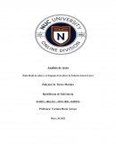 Análisis de texto Doña Rosita la soltera o el lenguaje de las flores de Federico García Lorca
